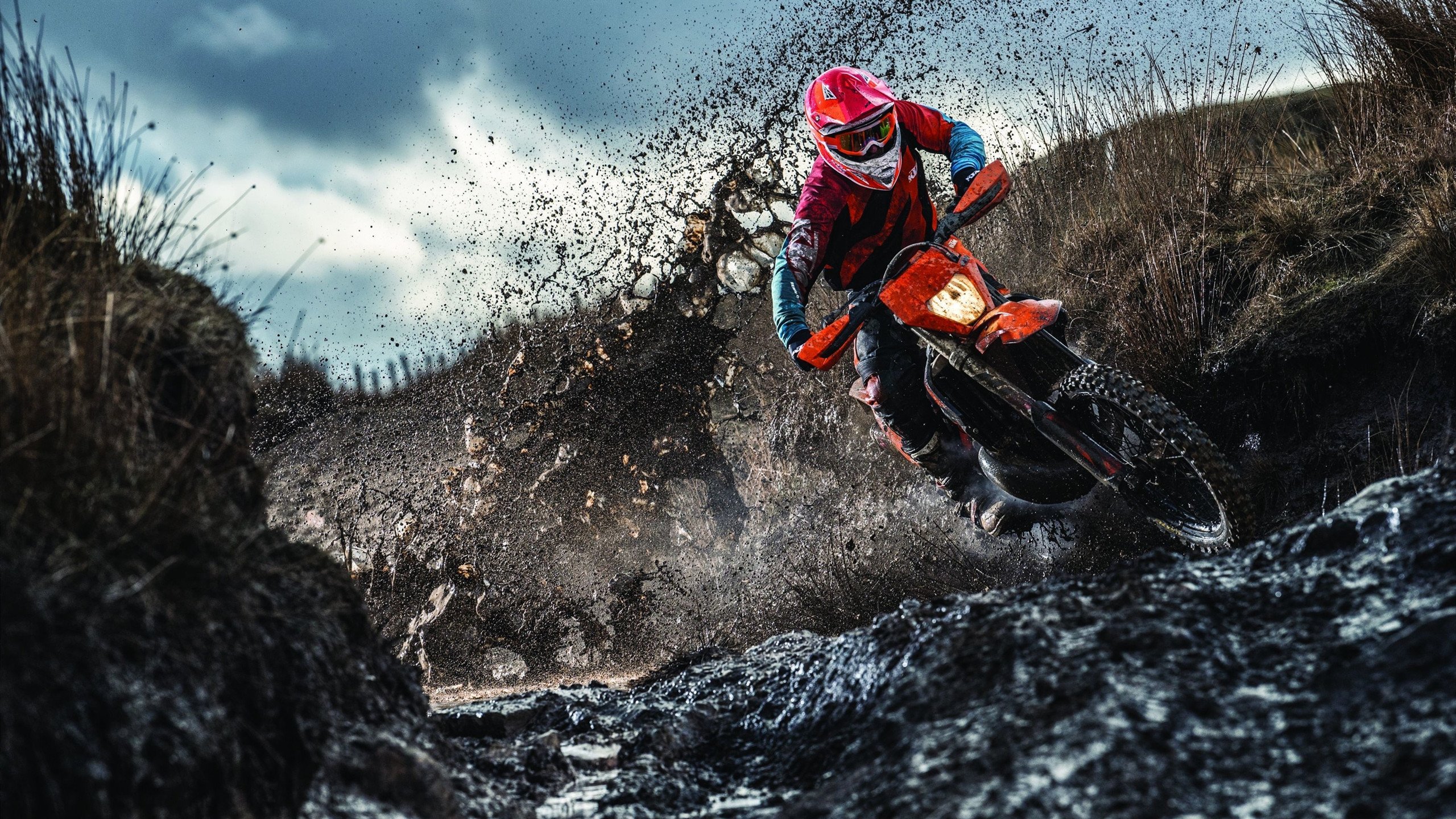 从NBA总决赛到世界杯爆冷,竞技体育的不可预测之美