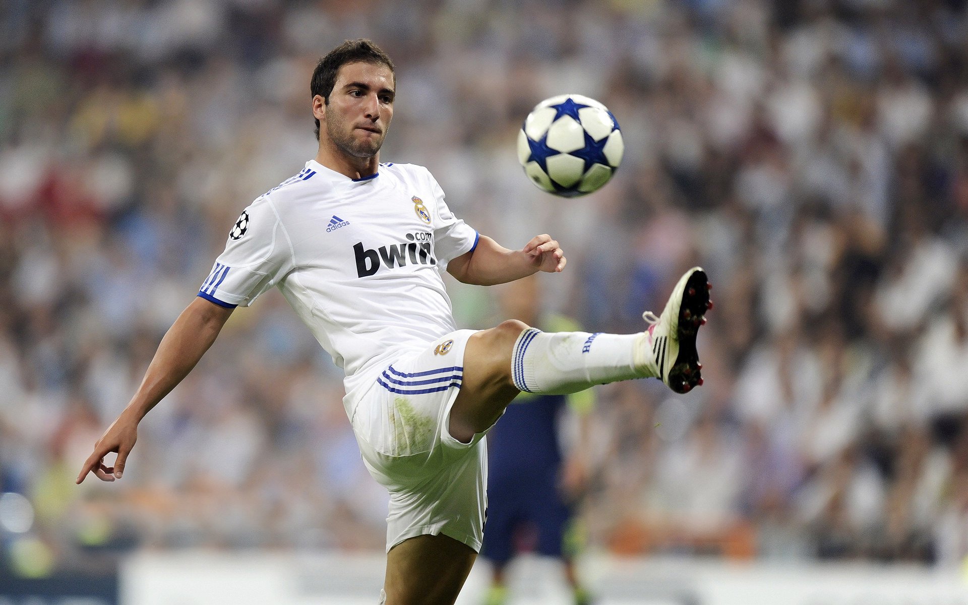 当王权遭遇鹈鹕的利喙,库里用稳定,在喧嚣中雕刻永恒